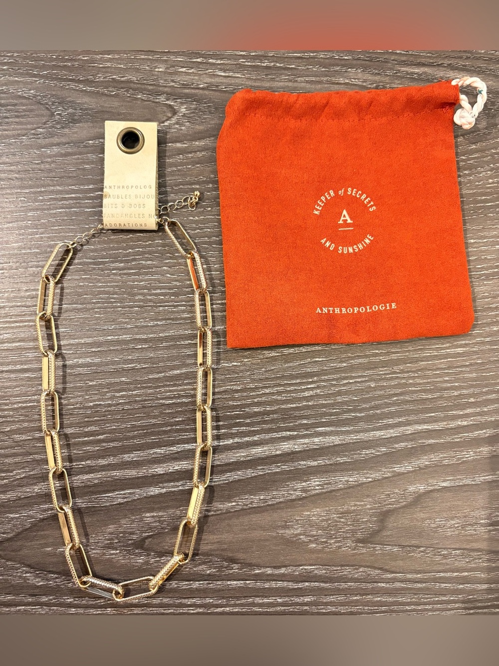 Anthropologie Chain-Link Necklace. NEW